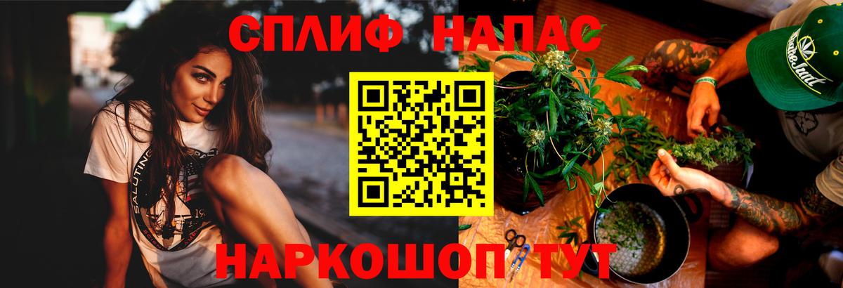 Конопля Bruce Banner Ахтубинск